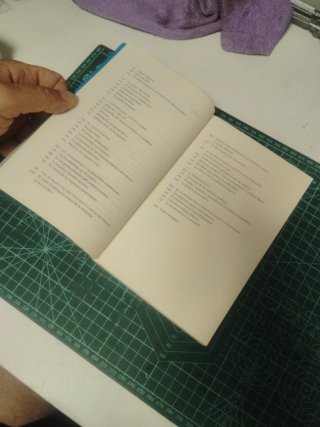 Las neuronas espejo Empatía, neuropolítica, aut...