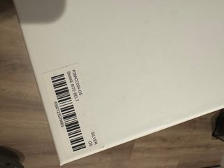Palace Cinturón Hebilla Serpiente FW 25