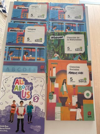 Lote libros 5ºprimaria