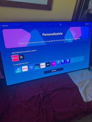 Samsung OLED 55 S85F 120Hz/144Hz ECI