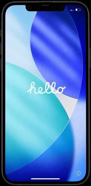 iPhone 12 Pro Max 256GB Space Gray.
