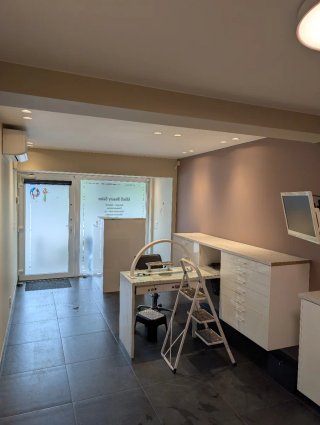 Servicios de pintura profesional