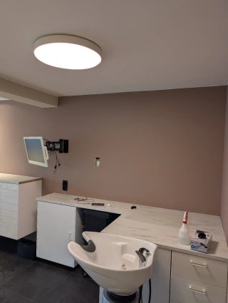 Servicios de pintura profesional