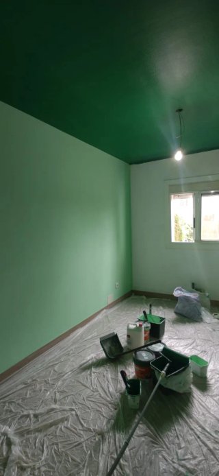 Servicios de pintura profesional