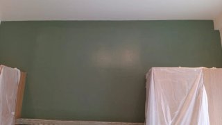 Servicios de pintura profesional