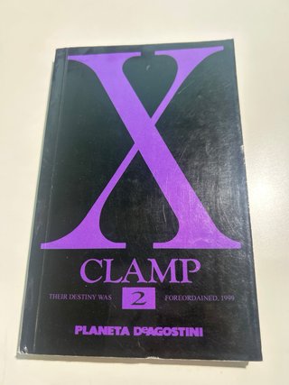 Manga CLAMP X/1999