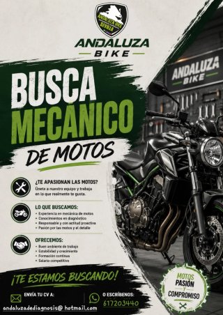 BUSCAMOS MECANICO MOTOS
