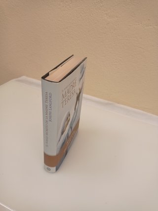 libro EL FUEGO SECRETO DE LA MADRE TERESA