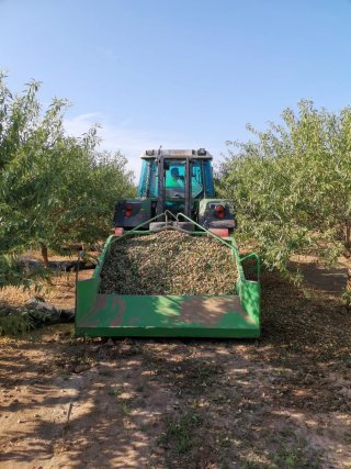 Máquina recolectora aceituna, almendra, pistacho
