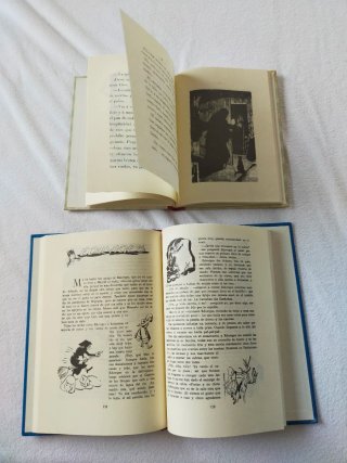 Libro:Antoñita la fantástica, cuentos extraordinar