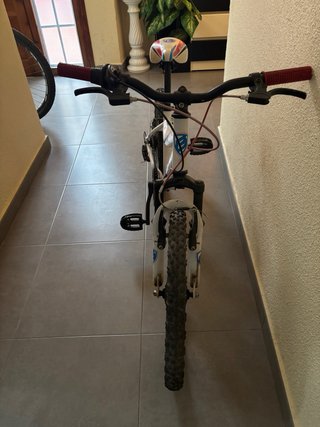 Bicicleta infantil BERG BLAS