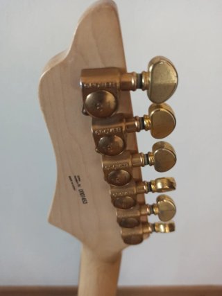 Guitarra Eléctrica Washburn CS-780