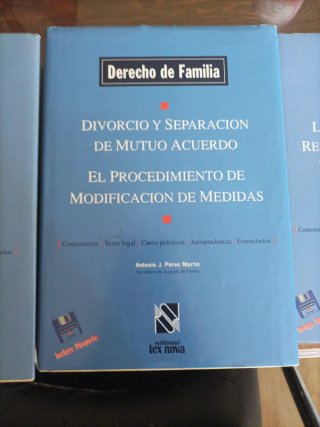La Ejecucion de las Resoluciones Dictadas en Pr...