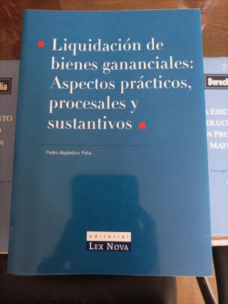 La Ejecucion de las Resoluciones Dictadas en Pr...