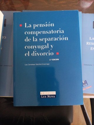 La Ejecucion de las Resoluciones Dictadas en Pr...