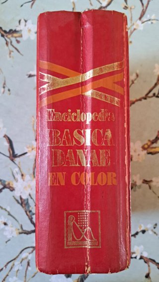 Enciclopedia Básica DANAE