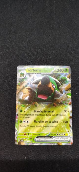 Lote de cartas Pokémon