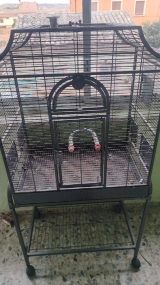 Jaula para pájaros grande