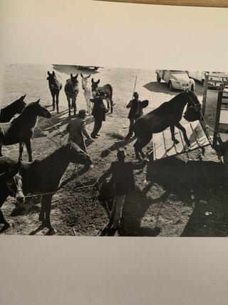 Imágenes Gitanas. Fotografías y recuerdos