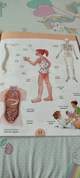 Libro visual para niñ@s, mil palabras en inglés.
