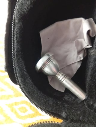 Trombón Roy BensonTT242 con funda