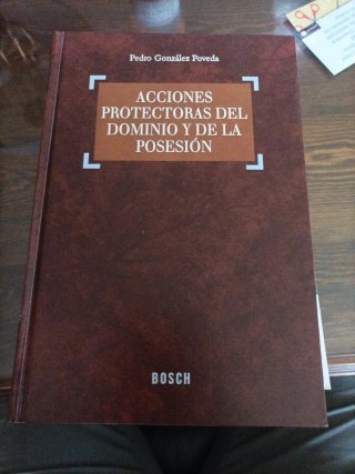 Acciones protectoras del dominio y de la posesión
