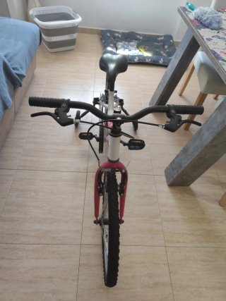 Bicicleta infantil DENBIKE 20 con ruedines