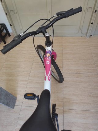 Bicicleta infantil DENBIKE 20 con ruedines