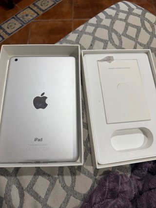 iPad Mini Plata