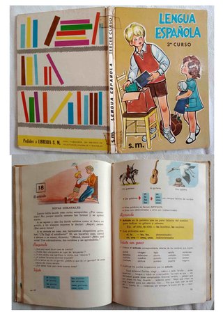 LENGUA ESPAÑOLA, LITERATURA, FILOSOFIA - LIBROS