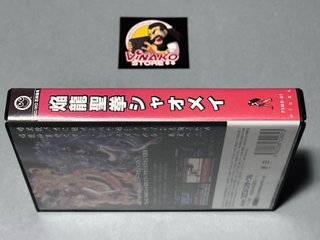Xiaomei and the Flame Dragon's Fist Sega Megadrive