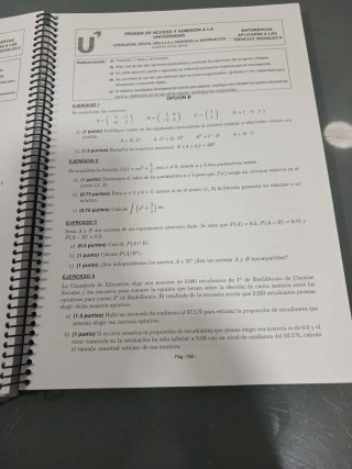 Ejercicios Propuestos P.A.U.Matemáticas.JUAN XXIII