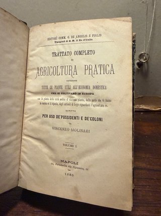 Libro antico 1880