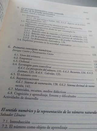 Didáctica de la matemática en la educación prim...