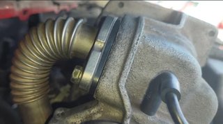 Junta ciega EGR Ford Focus mk2