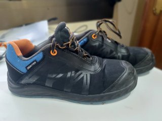 Zapatos de seguridad Dexter