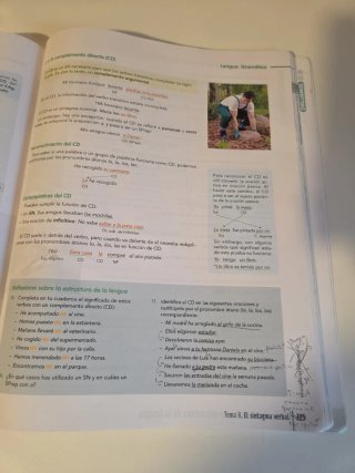 Lengua castellana y literatura