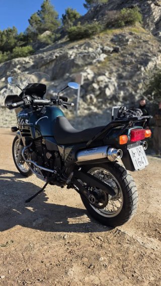 Triumph Tiger 900 84cv 1998
