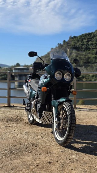 Triumph Tiger 900 84cv 1998