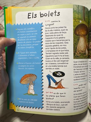 PER QUÉ DICCIONARI COM PER RESPONDRE LES PREGUN...