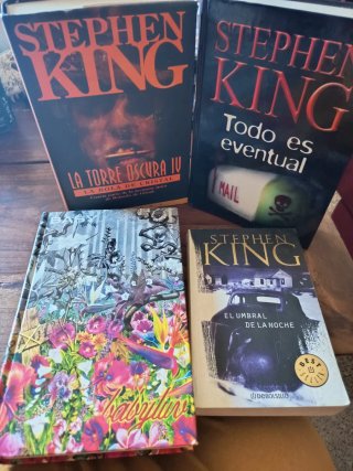 Lote de libros Stephen King