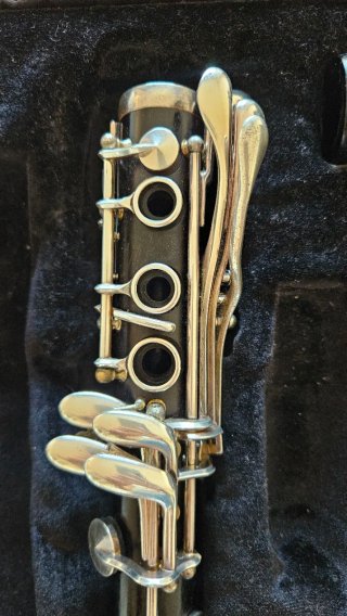 Clarinete Backun Protege Sib