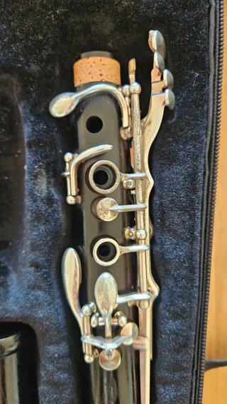 Clarinete Backun Protege Sib