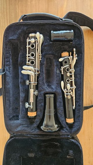 Clarinete Backun Protege Sib