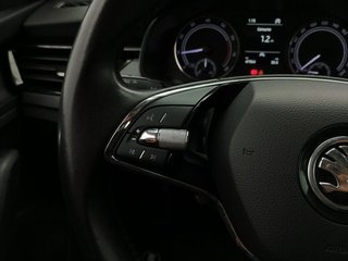 Skoda Kamiq 1.0 TSI 81kW (110CV) Ambition