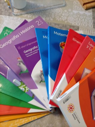 LLENGUA CATALANA I LITERATURA 2 ESO CONSTRUINT ...