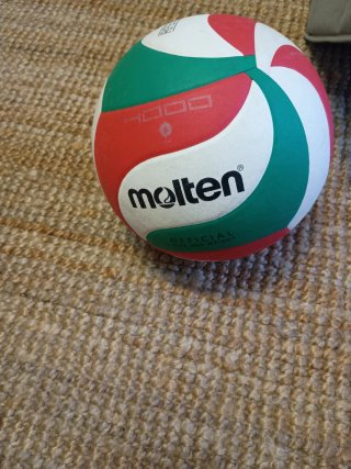 Balón de voleibol Molten Oficial