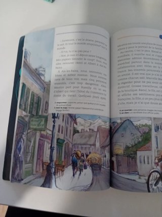 Libro de lectura en francés Un sac de Billes