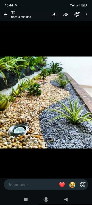 Servicio de jardinería profesional