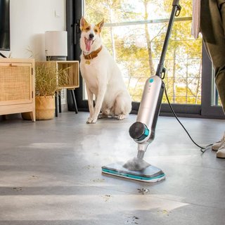 Cecotec Vaporeta HydroSteam 3030 Blaze